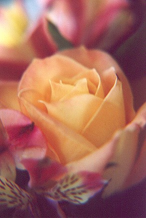 0016.jpg