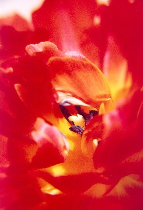 0404-4238-06.jpg