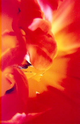0404-4238-09.jpg
