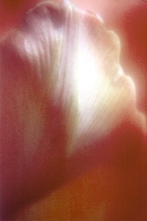 0404-4238-13.jpg