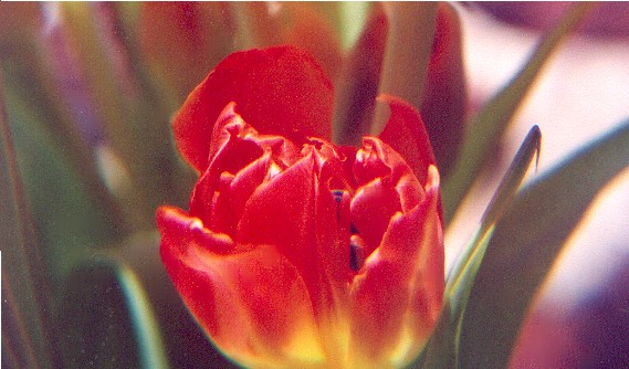 0404-4238-15.jpg