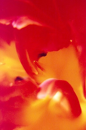 0404-4238-16.jpg