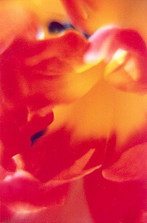 0404-4238-17.jpg
