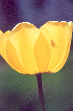 0404-4969-13.jpg