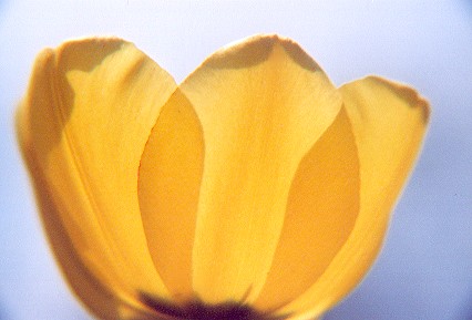 0404-4969-15.jpg