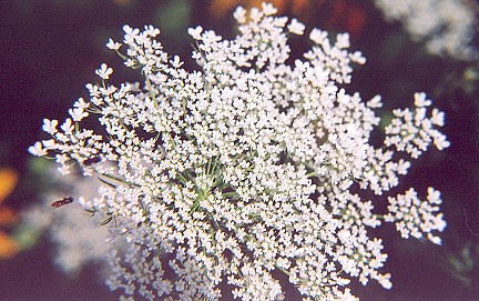 629199-13.jpg