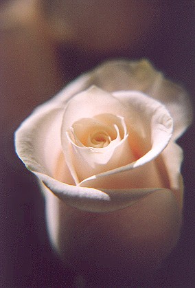 748566-23.jpg