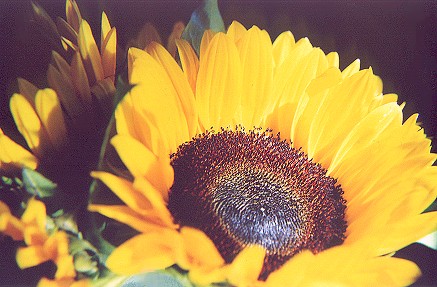 748623-12.jpg