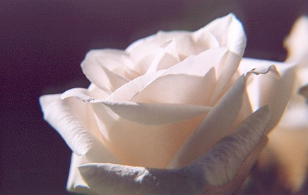 751014-12.jpg