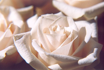 751014-15.jpg