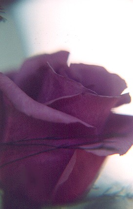 868464-11.jpg