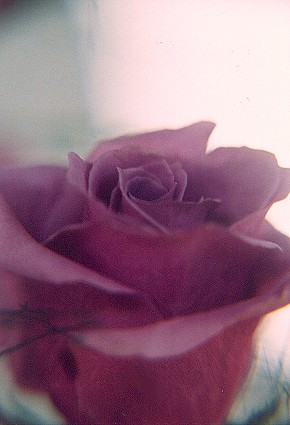 868464-12.jpg
