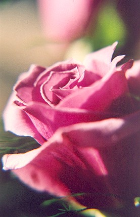 868464-13.jpg