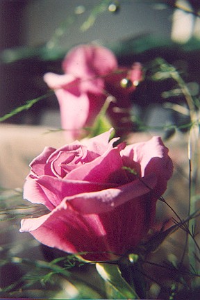 868464-14.jpg