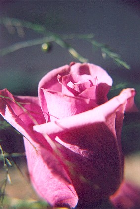 868464-17.jpg