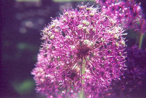 0504-8920-09.jpg